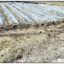 진가공인중개사사무소 이미지