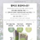 조*균