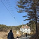 세원한복 네이버블로그