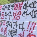 570명 150억 농촌 태양광 사기 엄벌 촉구 기사 이미지