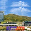 전라남도도로안전관리사업소 이미지