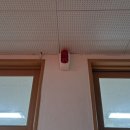 안락중학교 이미지