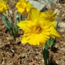 해금강주차장 이미지