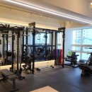 핏쁨 | 별내PT 핏쁨 운동을 제대로 배웠던 일상!