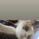 [퇴근길 Q/A] 251101 인사이드 윌리엄 인천 이미지