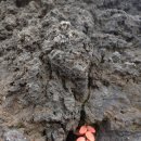 하이웨이카센타 이미지