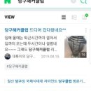월드당구클럽 이미지