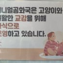 청주고양이입양지원센터 애니멀공화국 이미지
