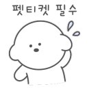 애견백화점 동탄점 이미지