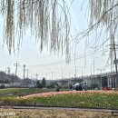 낙동강관리본부 화명생태공원 12 이미지