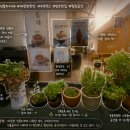 등길51