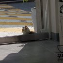 꼬물이공방 이미지