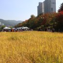 청솔중학교 앞 이미지