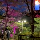 집밥을 책임지는 열두달 레시피(야간) | 토마토 달걀 볶음 레시피 아침 식사 대용으로 10분 컷 꿀팁