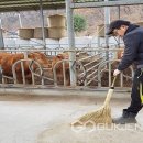 보은축산 이미지