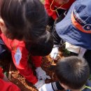 왕궁초등학교병설유치원 이미지