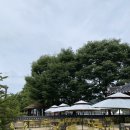 정원이 아름다운 집 | 안동카페투어 ｜수국 정원 그녀의홈카페 &amp; 월영당｜한옥 감성카페 추천