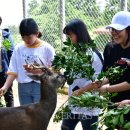 제주야생동물구조센터 이미지