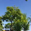 광명시 오리 경로당 이미지