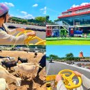 귀분목장 | 제주도 아이랑 표선 가볼만한곳 제주 루지 카트 체험 목장카페 드르쿰다