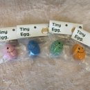 댕크닉 | 대방댕댕이목욕탕 개린이날 페스티벌 댕댕이와 플로깅산책해요🌱