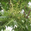 소백한의원 이미지