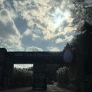 호텔더스테이 | 가평 더스테이힐링파크 커피트리 후기｜가평 호텔 &amp; 스파 + 부대시설 총정리