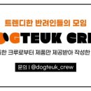 멍빵댕빵 이미지