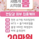 살롱 드 비숑 이미지