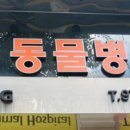 더독 동물병원 이미지