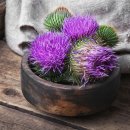 금성당약국 이미지