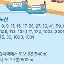 부산자갈치 이미지