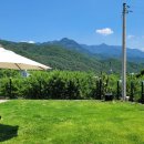 도평리도토리네 이미지