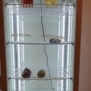 이모지오네 | 홍성 이모지오네 카페, 조용하고 깔끔하고 넓은 카페