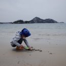 무녀도오토캠핑장 이미지