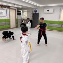 태비바른아이태권도장 | 광명태권도장 경희대통일태권도에 아이 다니고 있는 후기예요