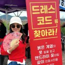 신안군 추천여행지 섬티아고 12사도 순례길과 맨드라미 축제 생생 후기