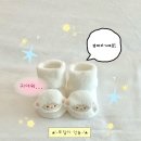 도담낚시 | [임신 7주-10주차] 입덧먹덧 없는 엄마와 젤리곰 도담이 🧸💛 양가부모님 임밍아웃 👶🏻
