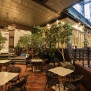 팔레드시즈 이미지