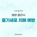 라온셀의원 이미지
