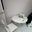 1491 | 데스커 원형 테이블 800 + 아웃라인 의자 DHM1491 구입 후기