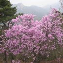 불광2-019 이미지