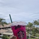 ㈜차놀자렌터카 | 하와이 신혼여행 4일차-5일차: 마우이 Tin Roof, 할레아칼라 선셋 실패, 와이키키 매직 아일랜드...