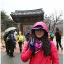 여수라푸마 Daum카페