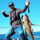 경기대학교 문화예술대학원 | 조윤희 이태곤 | 조윤희 프로필 권해효 나이 딸 이동건 이혼