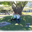 【문학평론】 ‘효심’과 ‘기억의 서사’로 직조한 가족 여행의 인문학 이미지