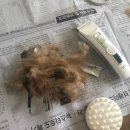[고양이 용품] 바비온 이발기 SBC-720 후기