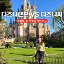 주식회사 바이오앤드림 | 도쿄 디즈니랜드 디즈니씨 차이 입장권 성 머리띠 모찌
