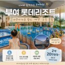 부여 롯데리조트 아쿠아가든 할인 예약 조식 총정리, 아이와 함께라면 이 혜택은 꼭 챙기세요