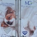 이브멀티카페 이미지